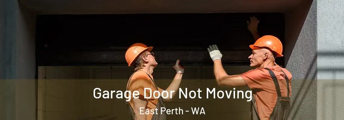 Garage Door Not Moving East Perth - WA