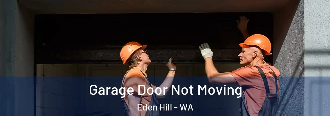 Garage Door Not Moving Eden Hill - WA