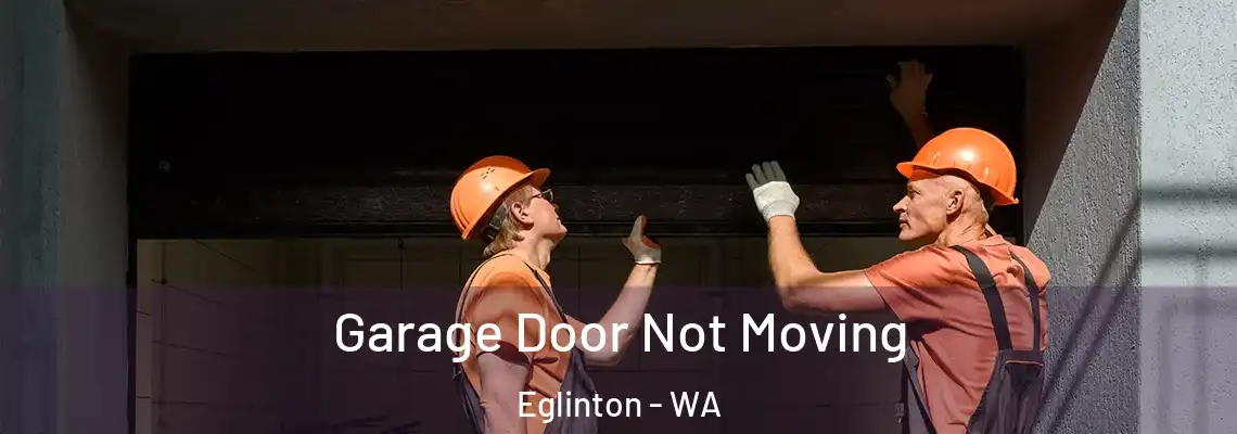 Garage Door Not Moving Eglinton - WA