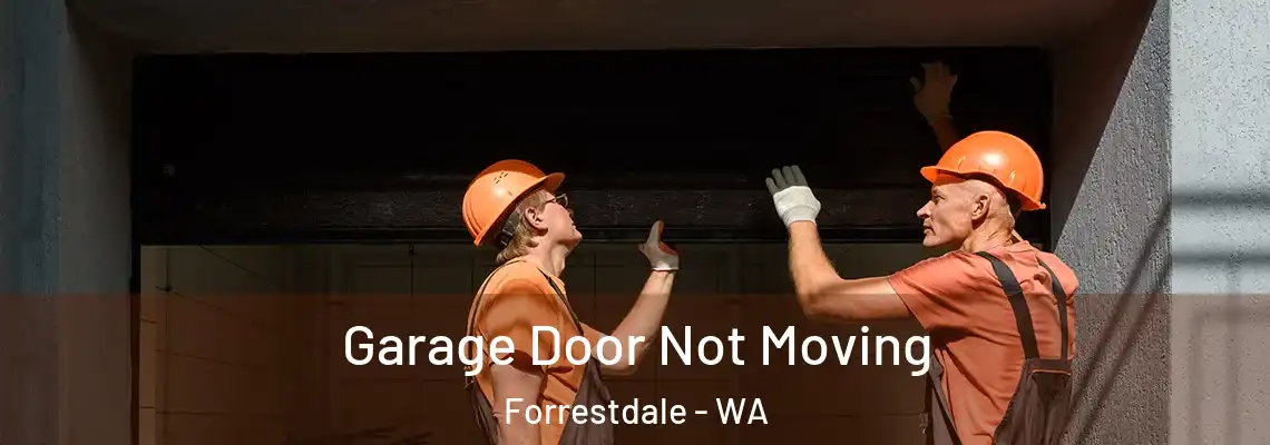 Garage Door Not Moving Forrestdale - WA