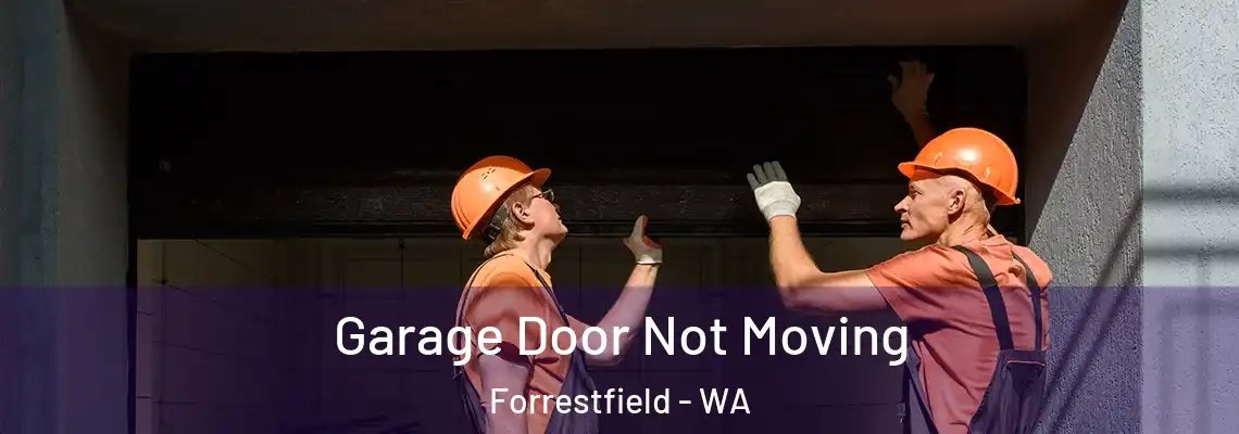 Garage Door Not Moving Forrestfield - WA