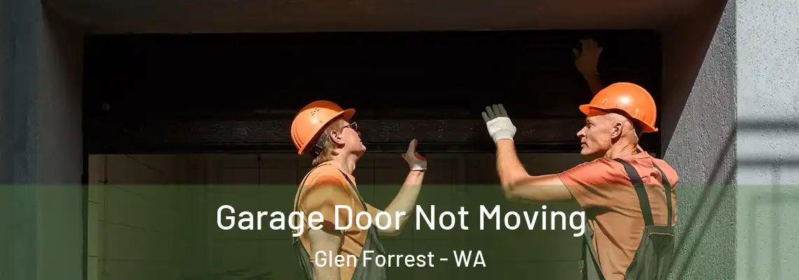 Garage Door Not Moving Glen Forrest - WA