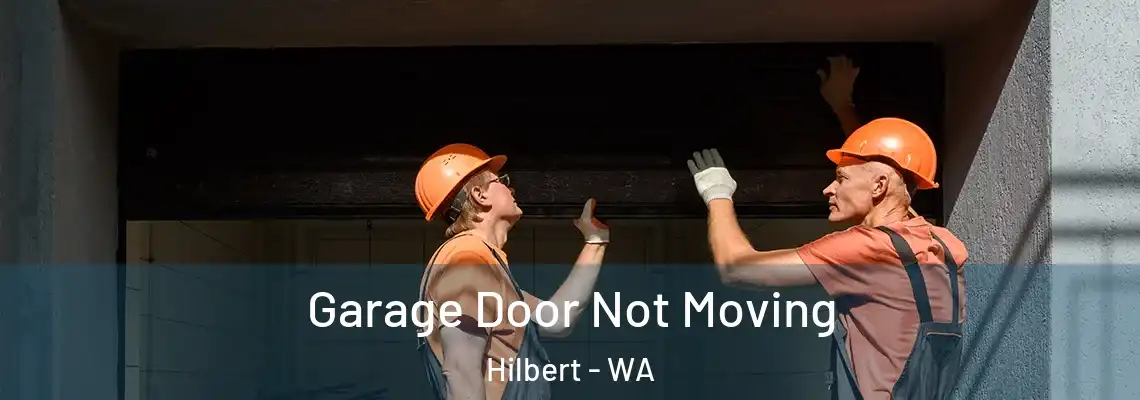 Garage Door Not Moving Hilbert - WA