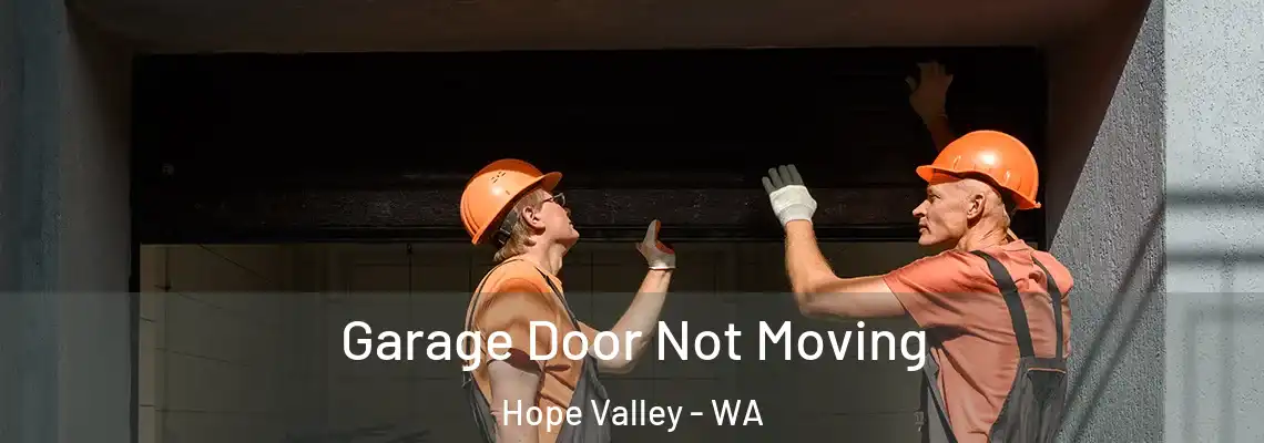Garage Door Not Moving Hope Valley - WA