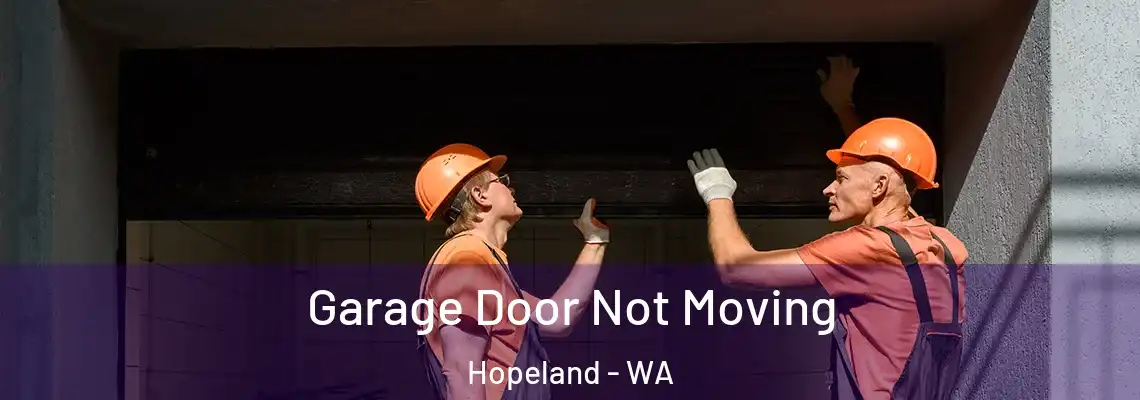Garage Door Not Moving Hopeland - WA