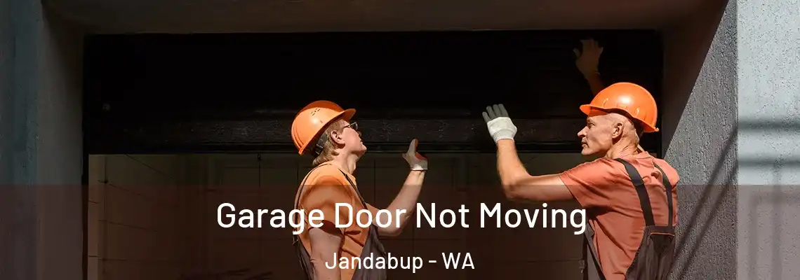 Garage Door Not Moving Jandabup - WA