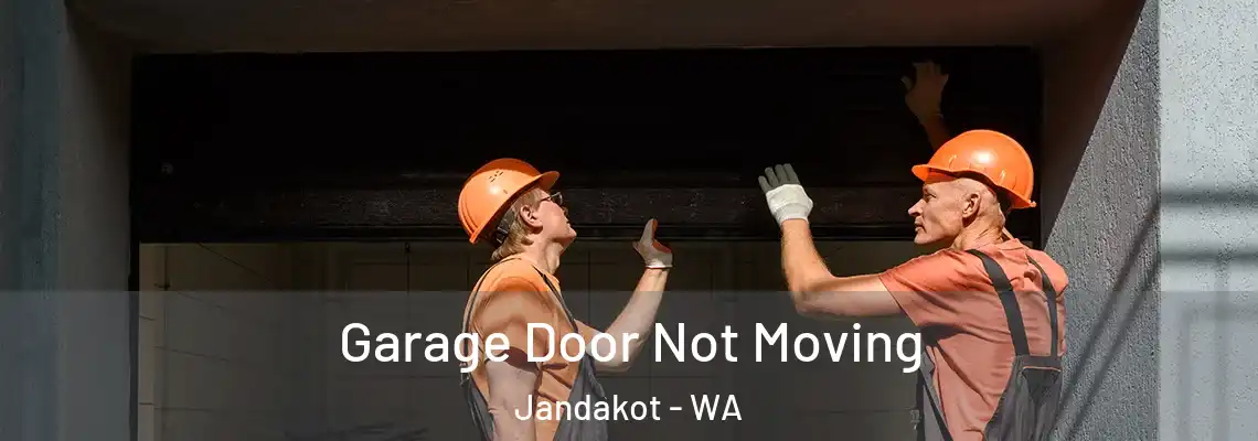 Garage Door Not Moving Jandakot - WA