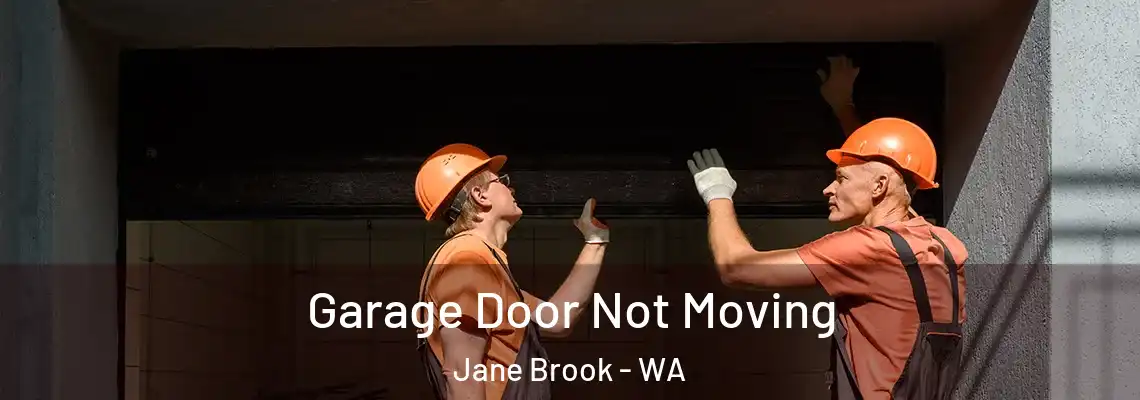  Garage Door Not Moving Jane Brook - WA