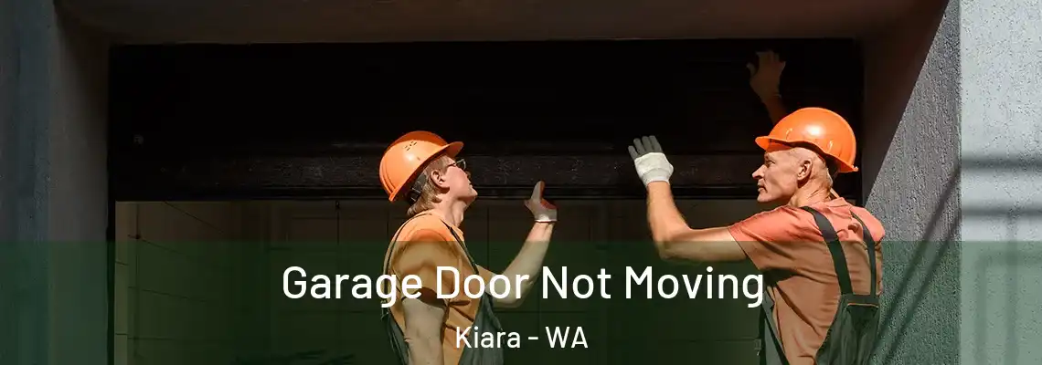 Garage Door Not Moving Kiara - WA