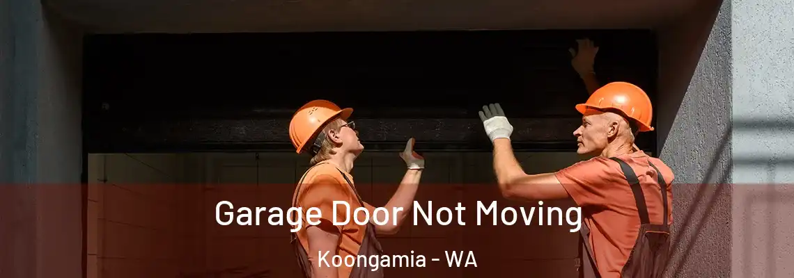Garage Door Not Moving Koongamia - WA