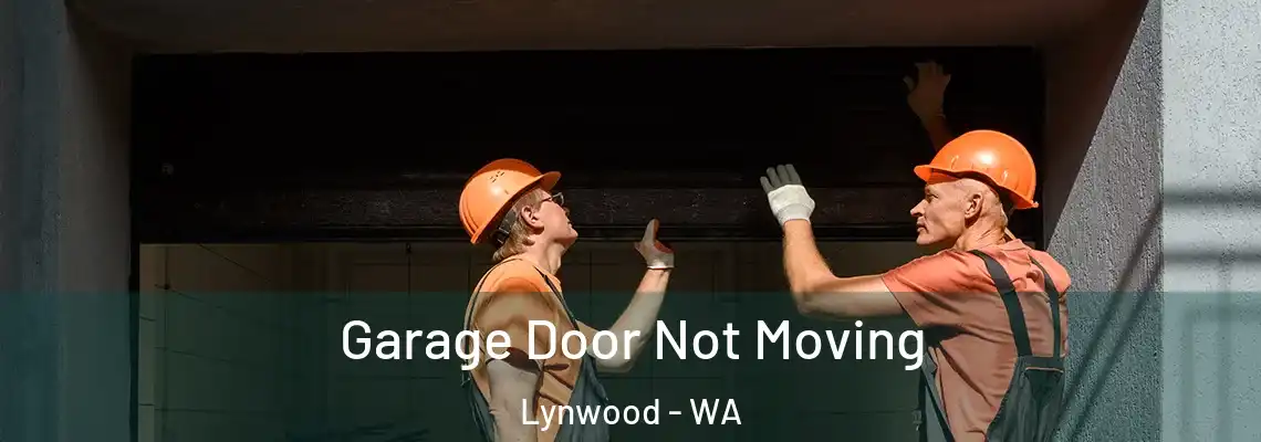 Garage Door Not Moving Lynwood - WA