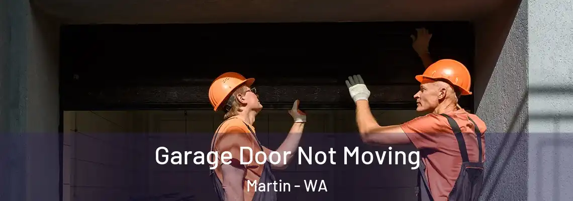Garage Door Not Moving Martin - WA