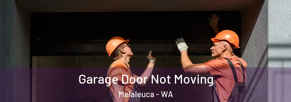 Garage Door Not Moving Melaleuca - WA