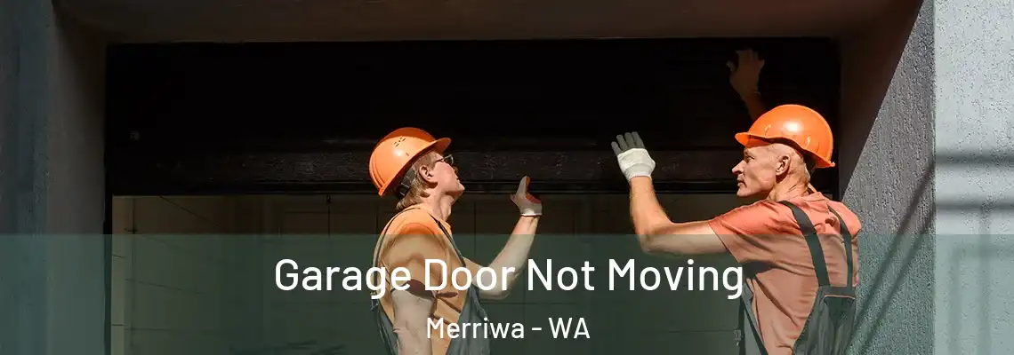 Garage Door Not Moving Merriwa - WA