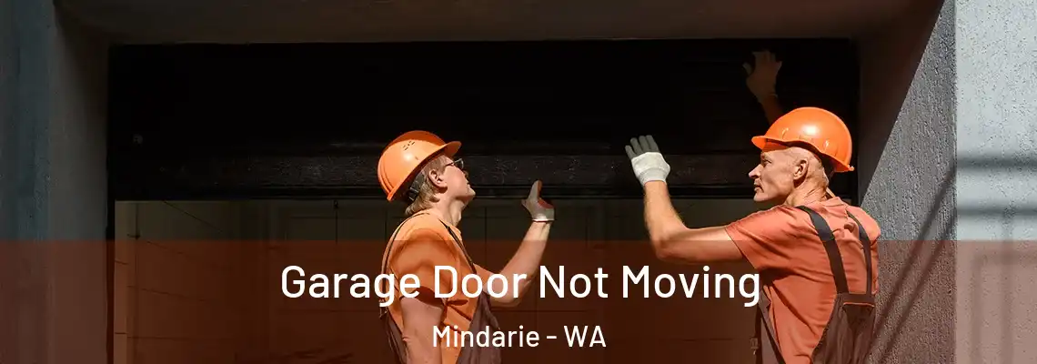 Garage Door Not Moving Mindarie - WA