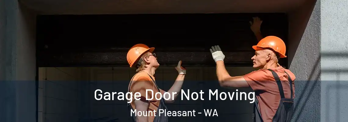 Garage Door Not Moving Mount Pleasant - WA