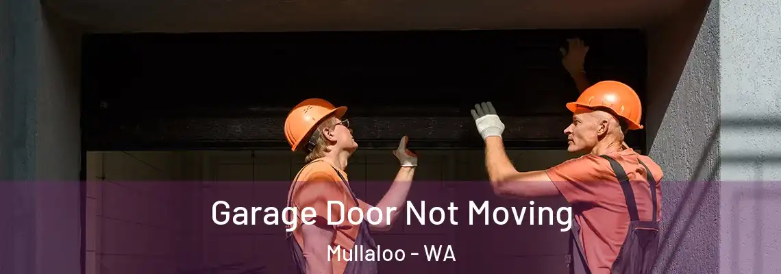 Garage Door Not Moving Mullaloo - WA