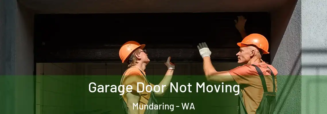  Garage Door Not Moving Mundaring - WA