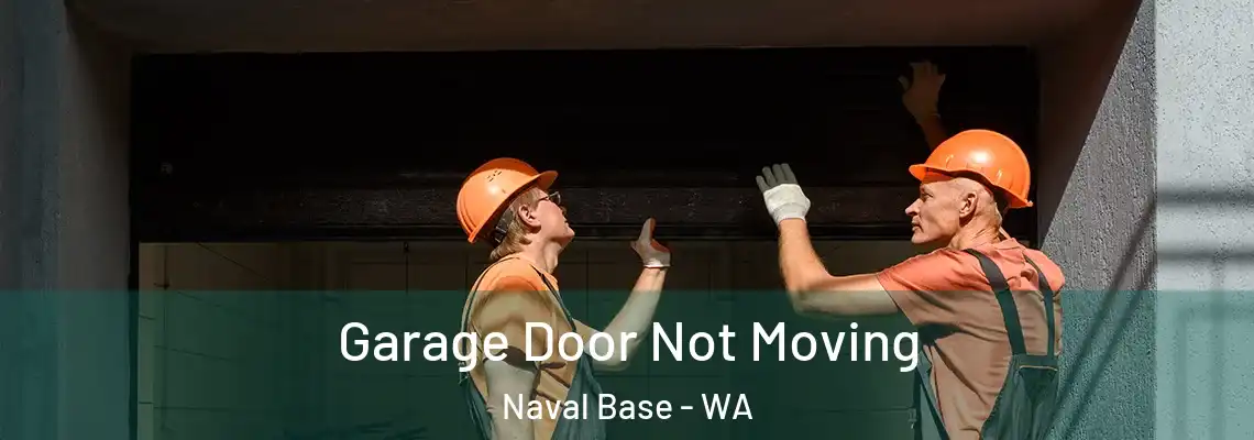Garage Door Not Moving Naval Base - WA