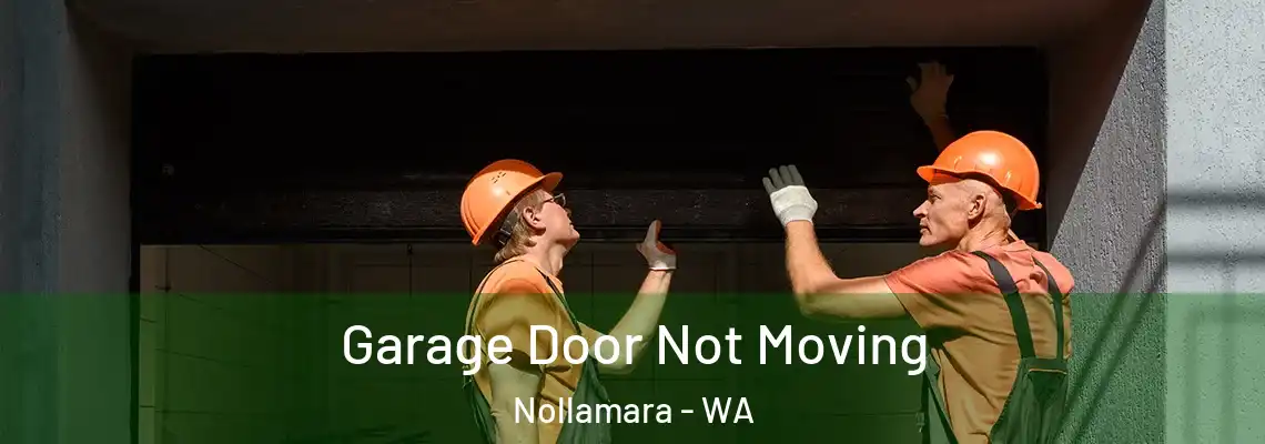 Garage Door Not Moving Nollamara - WA