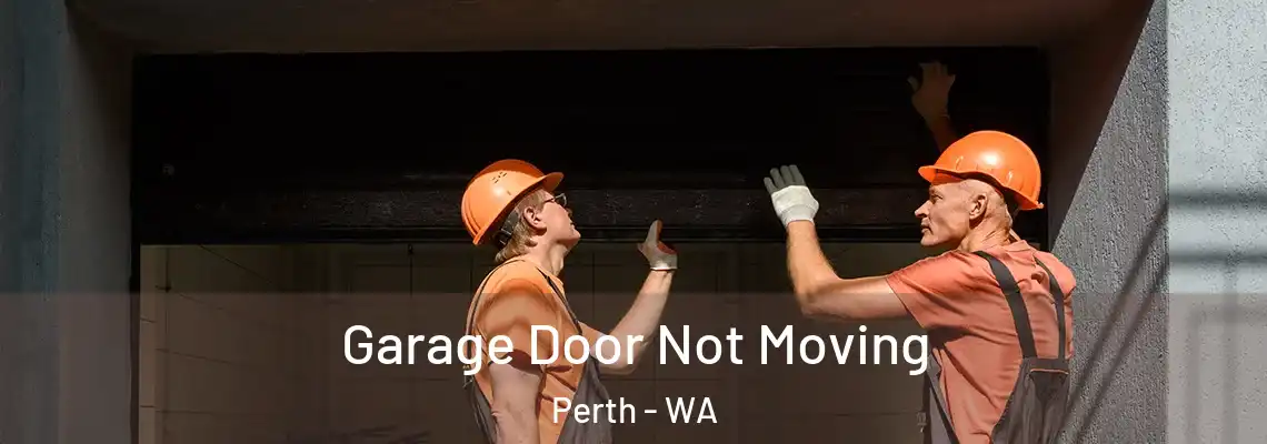  Garage Door Not Moving Perth - WA