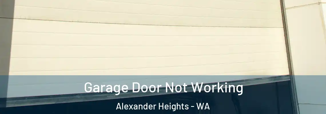 Garage Door Not Working Alexander Heights - WA