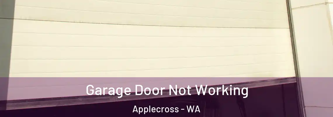 Garage Door Not Working Applecross - WA