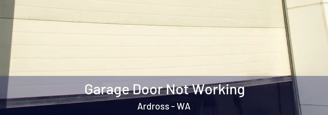 Garage Door Not Working Ardross - WA