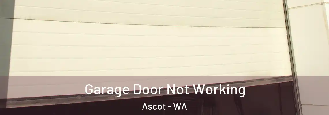 Garage Door Not Working Ascot - WA