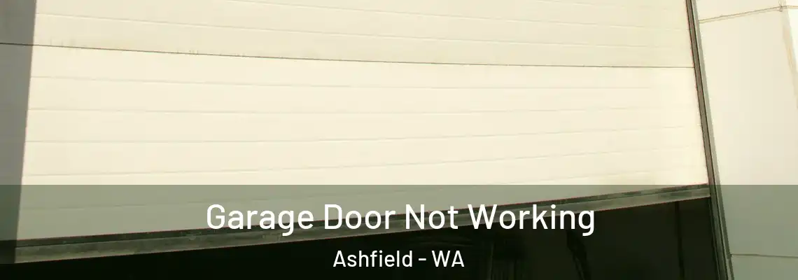 Garage Door Not Working Ashfield - WA