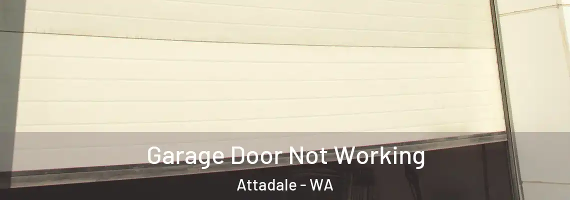 Garage Door Not Working Attadale - WA