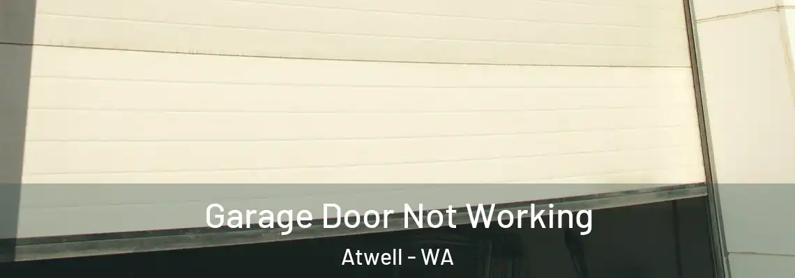 Garage Door Not Working Atwell - WA