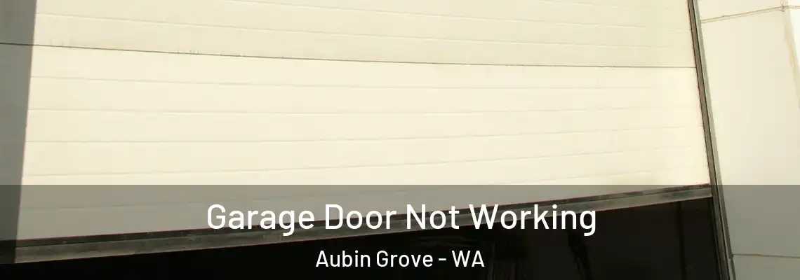 Garage Door Not Working Aubin Grove - WA