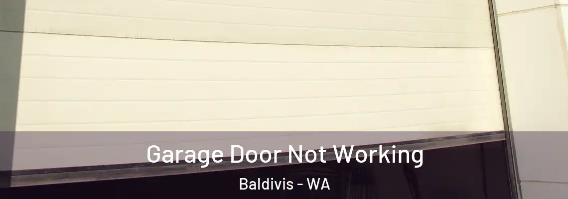 Garage Door Not Working Baldivis - WA