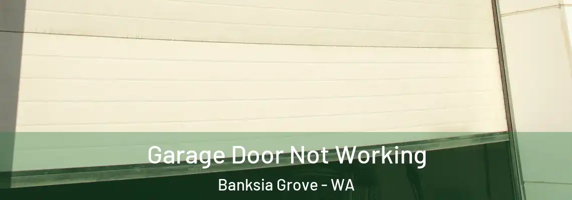 Garage Door Not Working Banksia Grove - WA