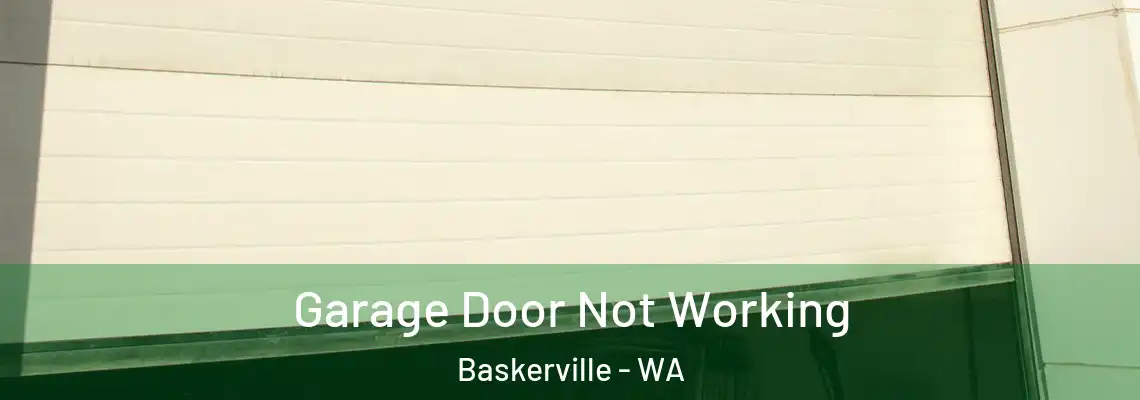 Garage Door Not Working Baskerville - WA