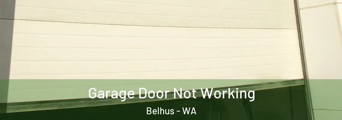 Garage Door Not Working Belhus - WA