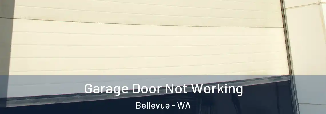 Garage Door Not Working Bellevue - WA