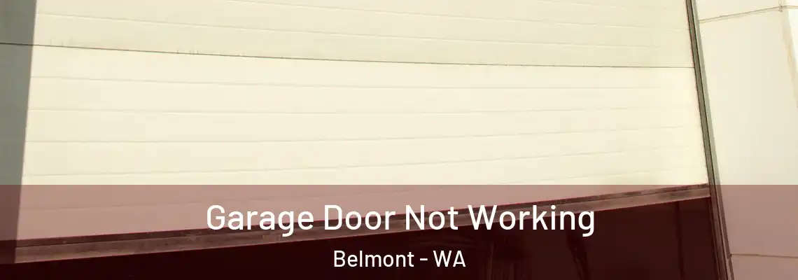 Garage Door Not Working Belmont - WA