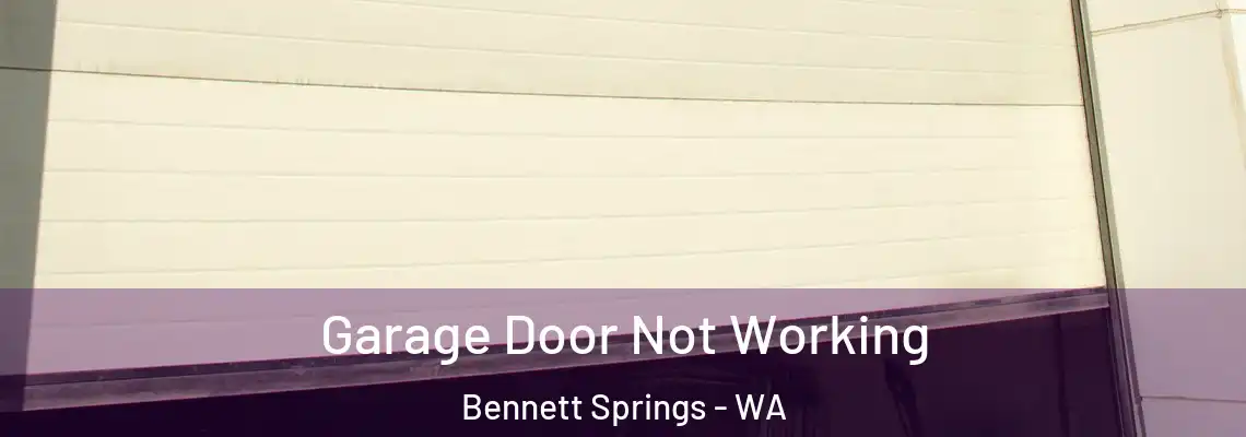 Garage Door Not Working Bennett Springs - WA
