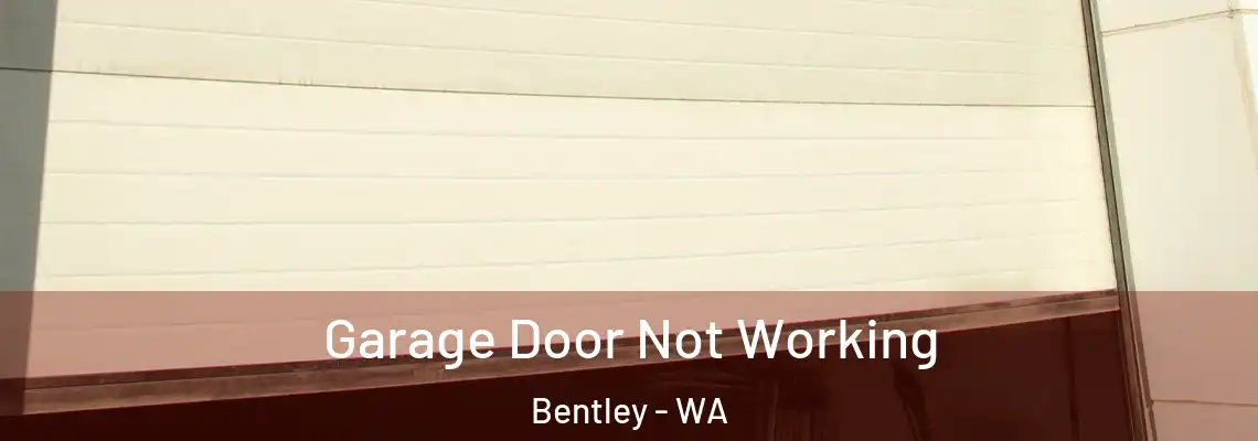 Garage Door Not Working Bentley - WA