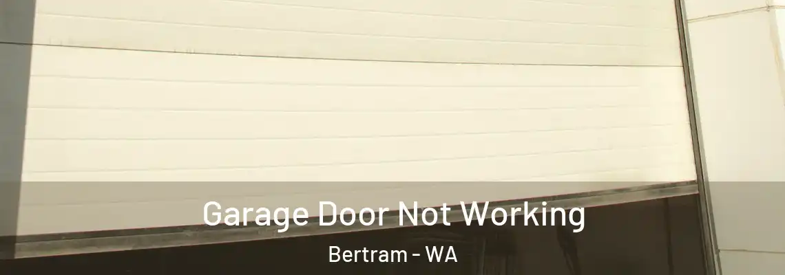 Garage Door Not Working Bertram - WA