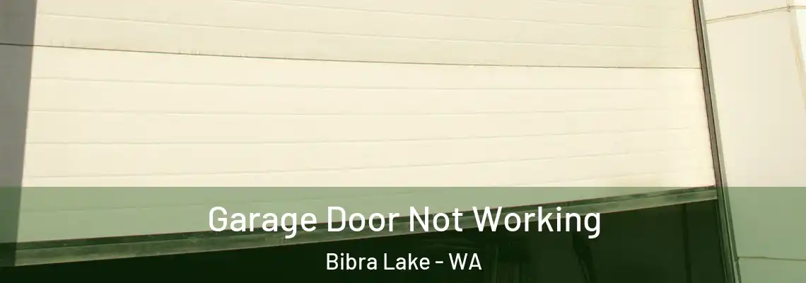 Garage Door Not Working Bibra Lake - WA