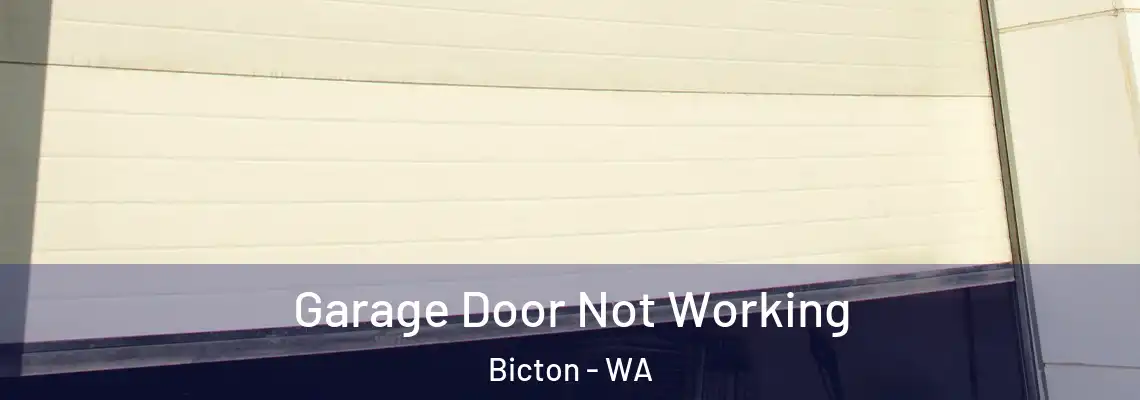 Garage Door Not Working Bicton - WA