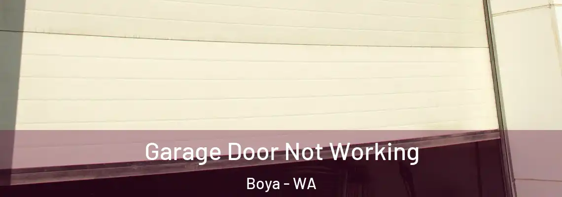 Garage Door Not Working Boya - WA