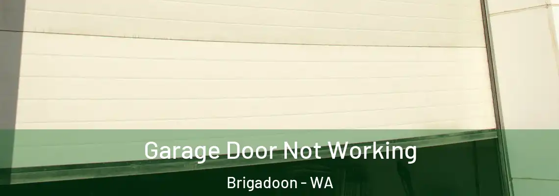 Garage Door Not Working Brigadoon - WA
