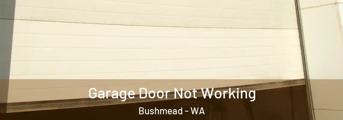 Garage Door Not Working Bushmead - WA