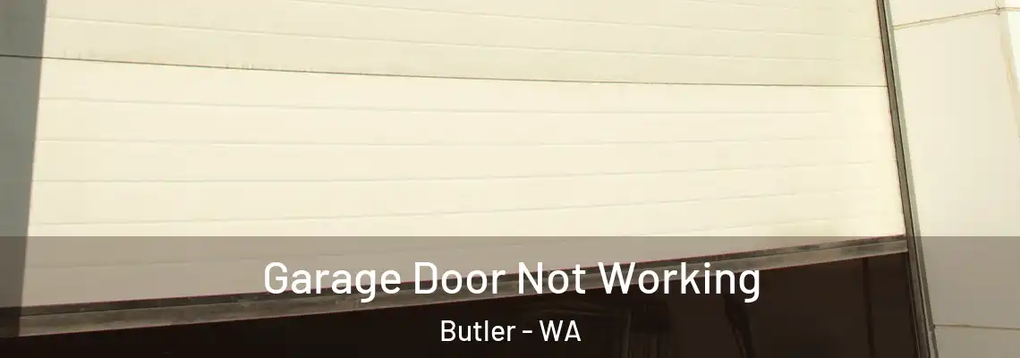 Garage Door Not Working Butler - WA