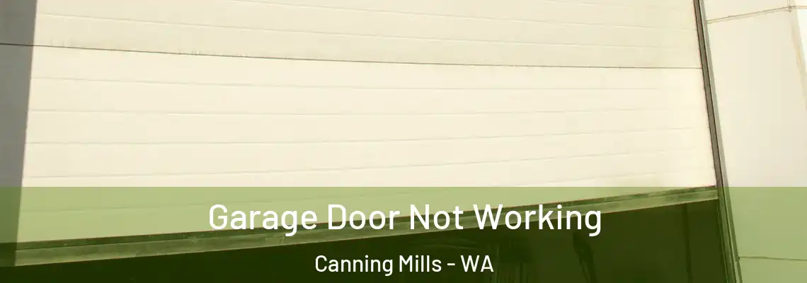 Garage Door Not Working Canning Mills - WA