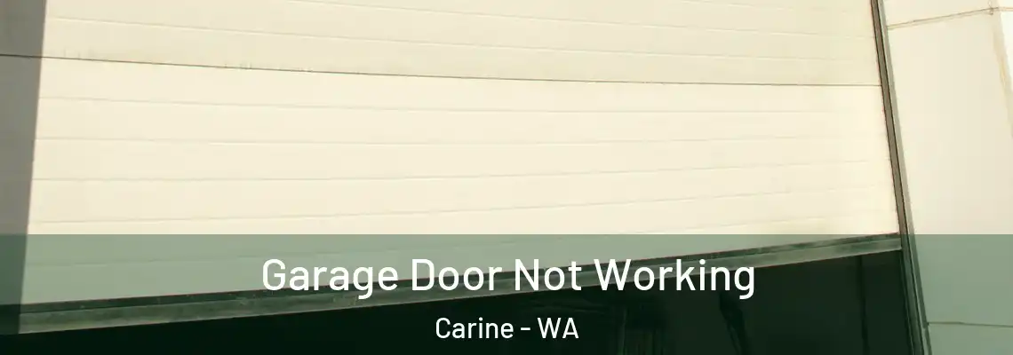 Garage Door Not Working Carine - WA